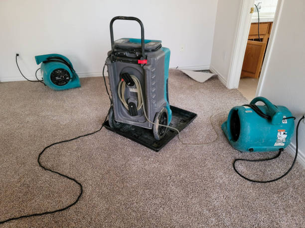 Best Carpet water damage restoration  in Sergeant Bluff, IA