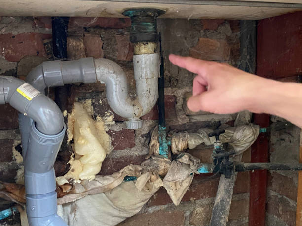 Best Local water damage restoration  in Sergeant Bluff, IA